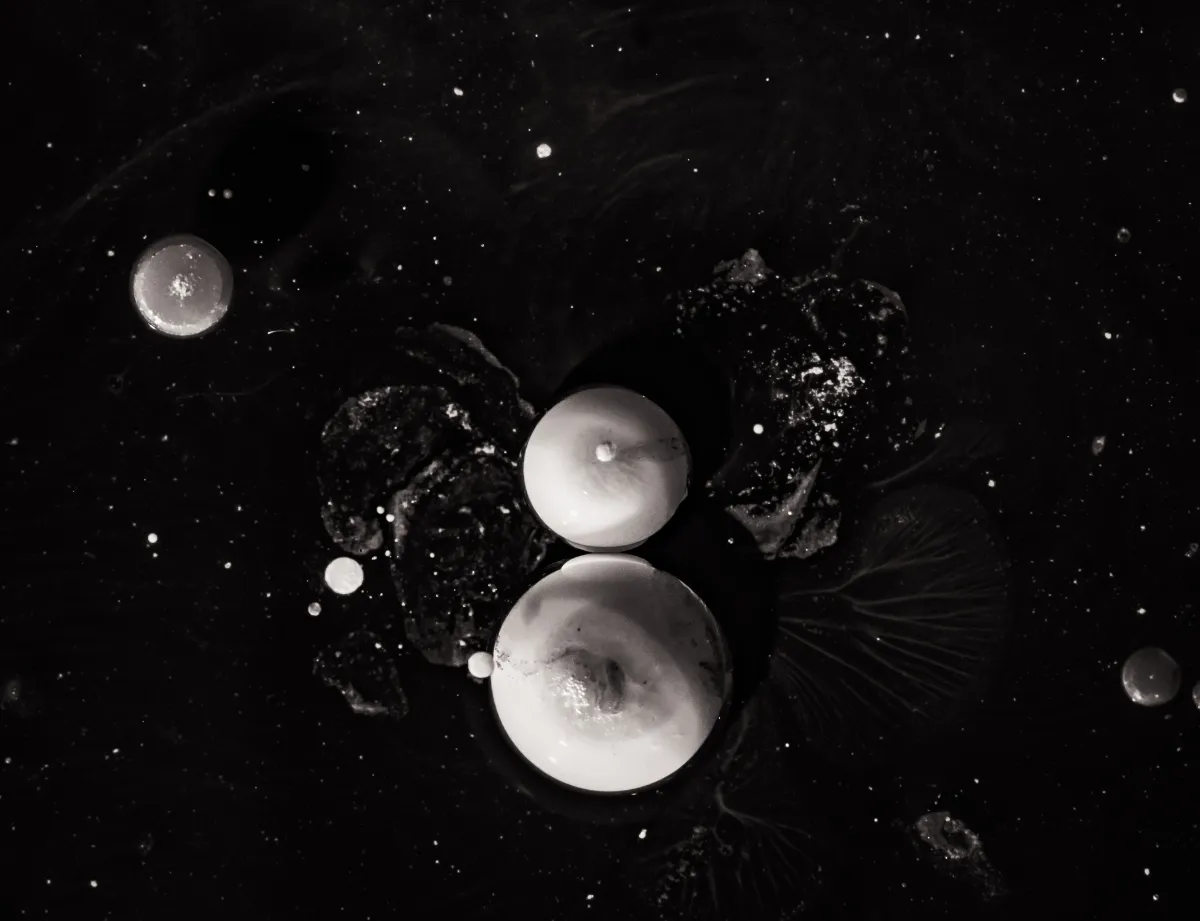 Primordial cellular biology