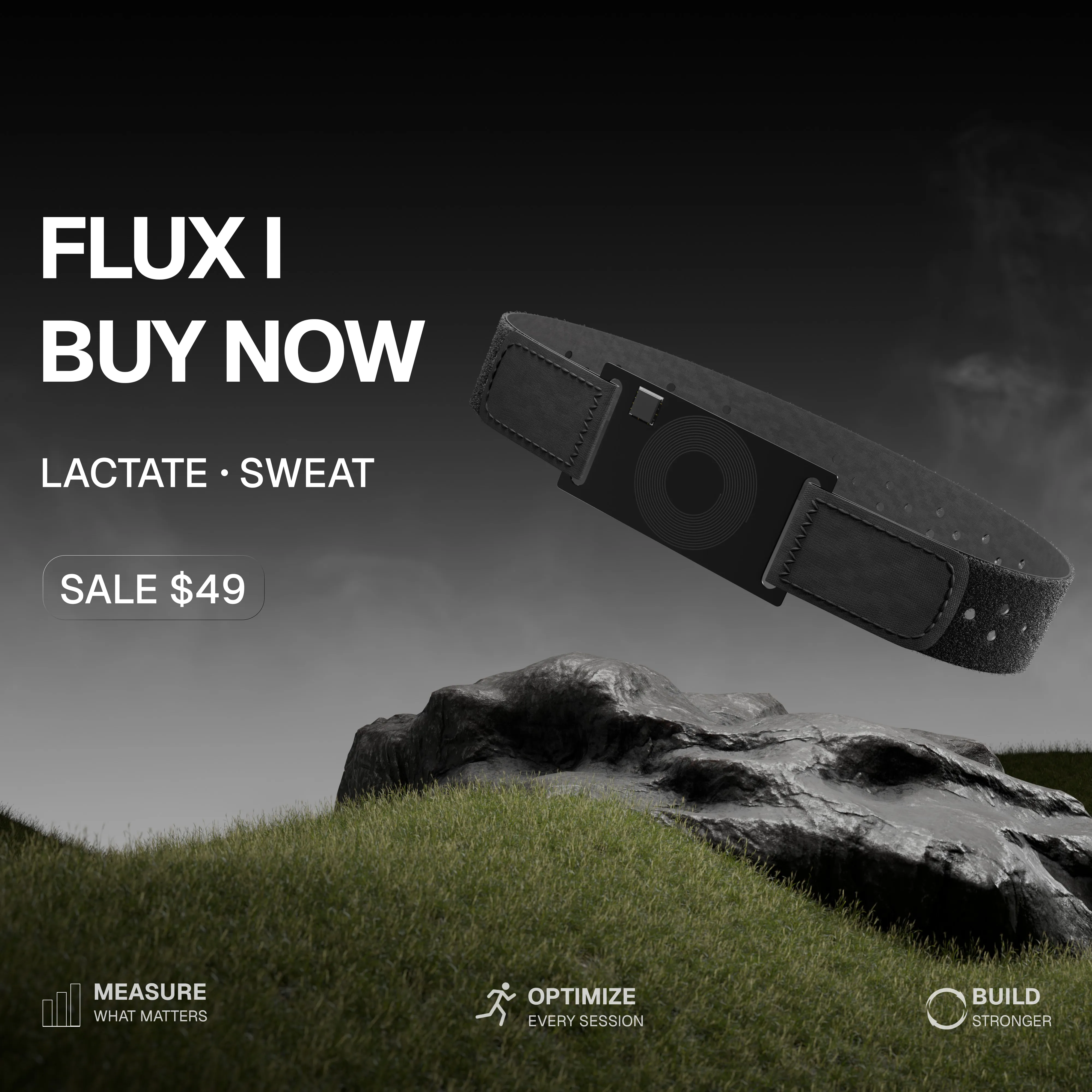 FLUX I